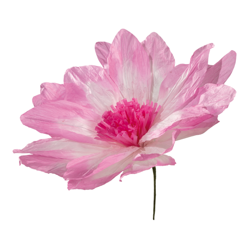 Blütenkopf Ø 60cm Stiel 12cm aus Papier biegsam mit kurzem Stiel Dahlie, Blume, Blütenblatt, Ein anderes, Anemone