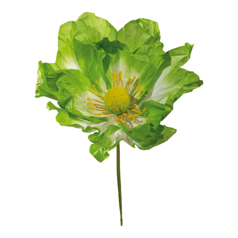 Blatt, Pflanze, Grün, Eine andere, Blume